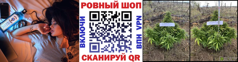 Наркота Советская Гавань A PVP Псилоцибиновые грибы Вейп ТГК ГАШ Канабис