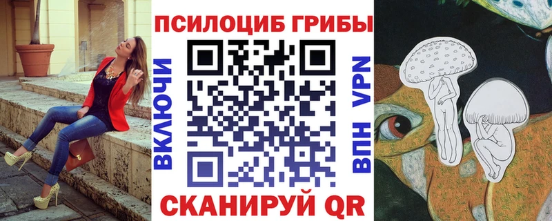 Псилоцибиновые грибы мицелий  где можно купить   Советская Гавань 